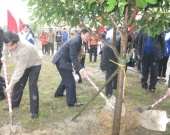 北部フート省の植林運動